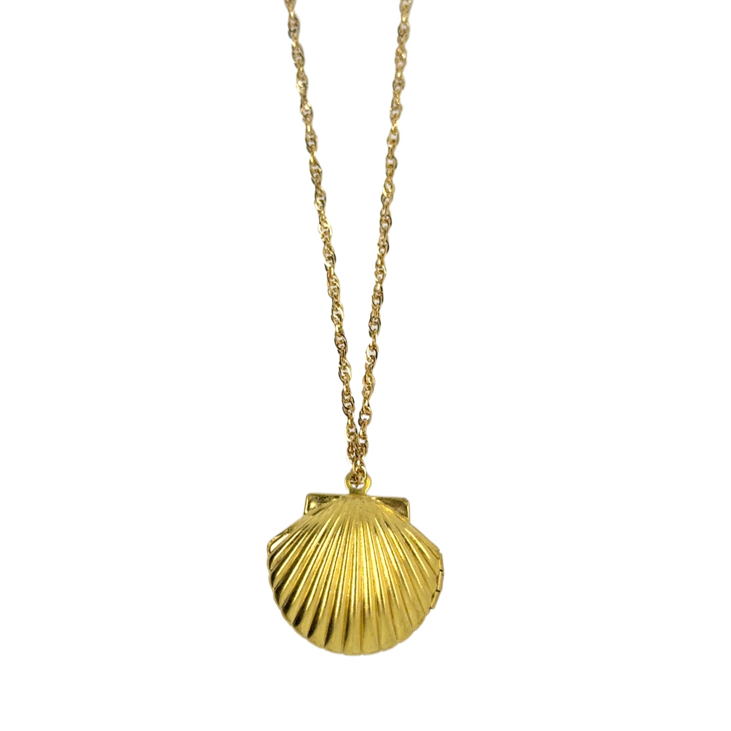 Delicate twisted belcher chain necklace with clam shaped locket that opens at the side and can hold two little photos